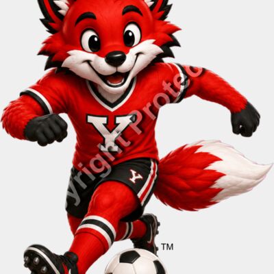 Fearless Fox Soccer Star Thumbnail